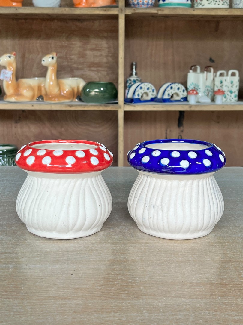 Mushroom Planter (मशरूम जार) — decor for sale at Janki Vatika plant nursery, Talawali Chanda, Indore