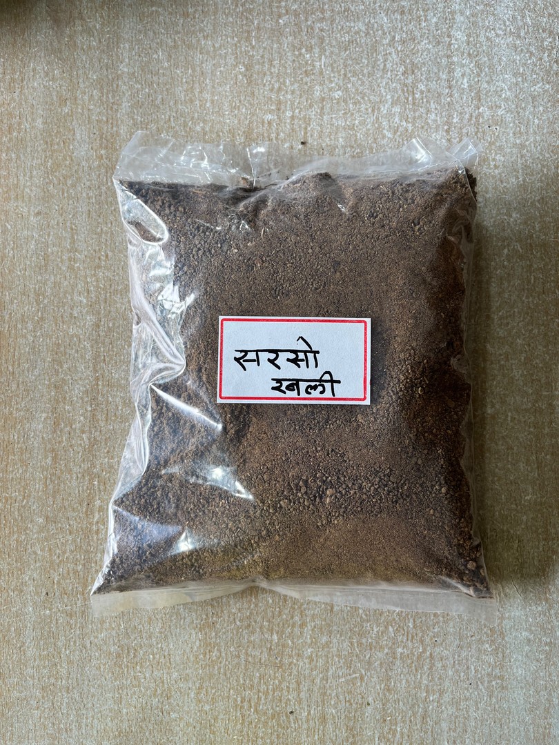 Mustard Cake Fertiliser (सरसो खली) — soil for sale at Janki Vatika plant nursery, Talawali Chanda, Indore