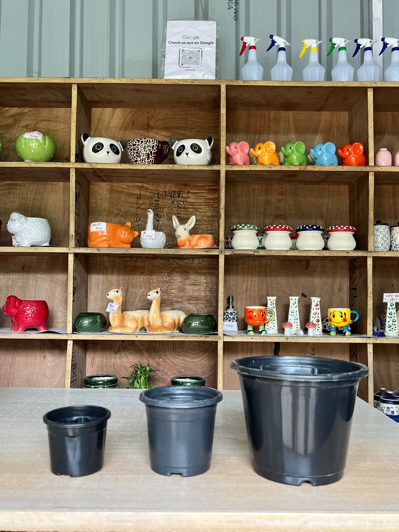 Plastic Nursery Pots (Black) (प्लास्टिक गमला) — planter for sale at Janki Vatika plant nursery, Talawali Chanda, Indore
