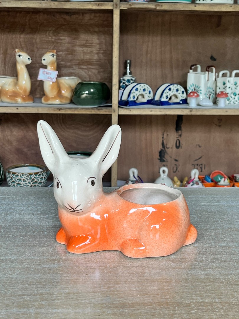 Rabbit Planter (खरगोश प्लांटर) — planter for sale at Janki Vatika plant nursery, Talawali Chanda, Indore