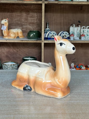 Camel Planter (ऊंट प्लांटर) — planter for sale at Janki Vatika plant nursery, Talawali Chanda, Indore — Ceramic Planters