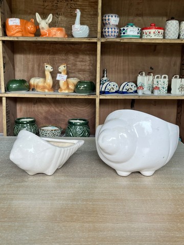 Ceramic Conch Shell Planter (शंख गमला) — planter for sale at Janki Vatika plant nursery, Talawali Chanda, Indore — Ceramic Planters