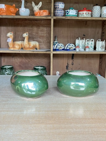 Glazed Bowl Planter (हरा ग्लेज़ बाउल प्लांटर) — planter for sale at Janki Vatika plant nursery, Talawali Chanda, Indore — Ceramic Planters