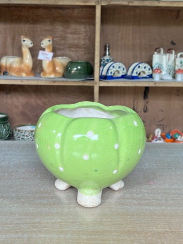 Polka Dot Pumpkin Planter (हरा पोल्का डॉट प्लांटर) — planter for sale at Janki Vatika plant nursery, Talawali Chanda, Indore — Ceramic Planters